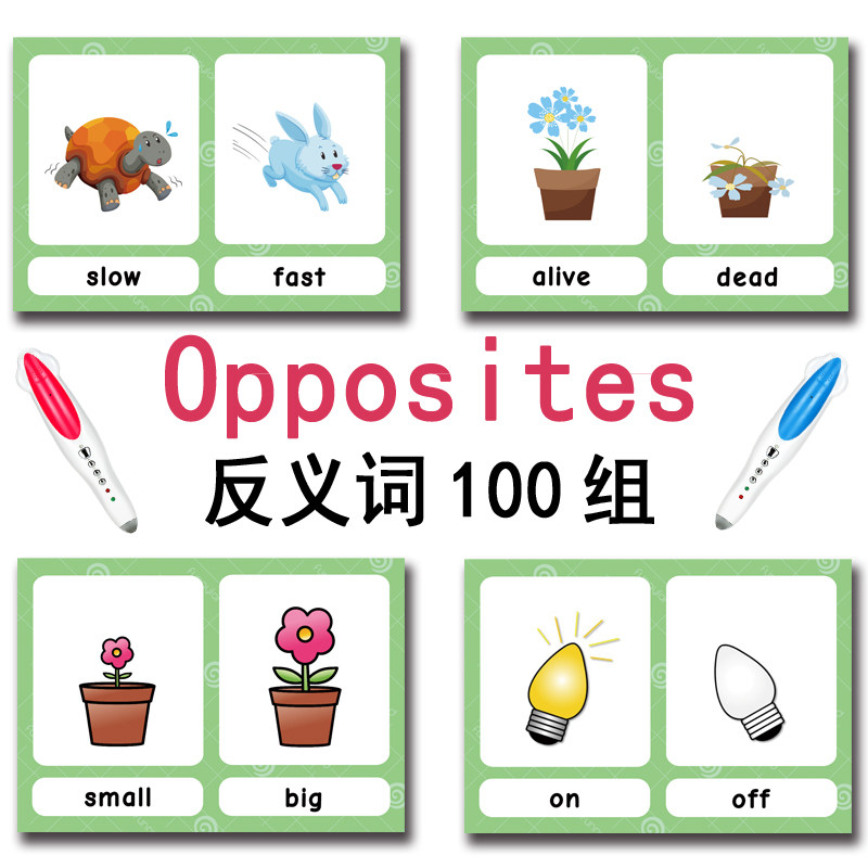 100 Cartões de Vocabulário em  - Kids Toys And Games avaliação e preço