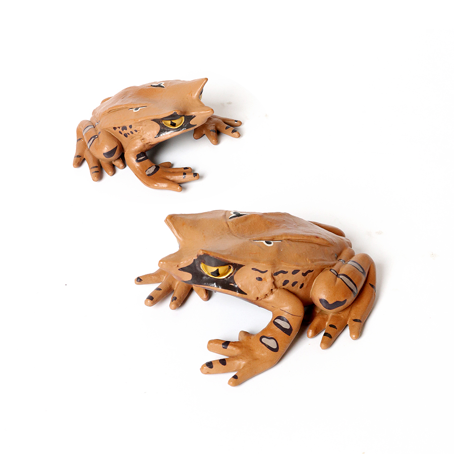 Floresta pluviana animais sapo - Kids Toys Review avaliação e preço
