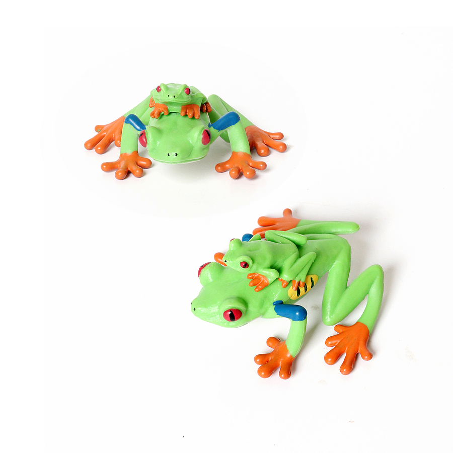 Floresta pluviana animais sapo - Kids Toys Review avaliação e preço