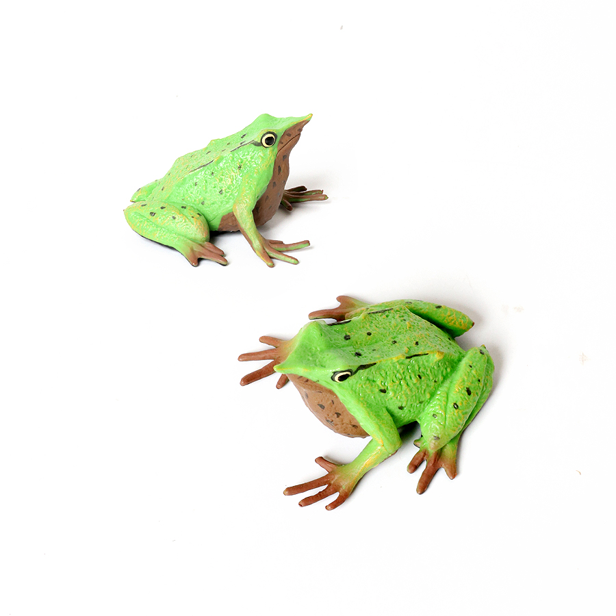 Floresta pluviana animais sapo - Kids Toys Review avaliação e preço